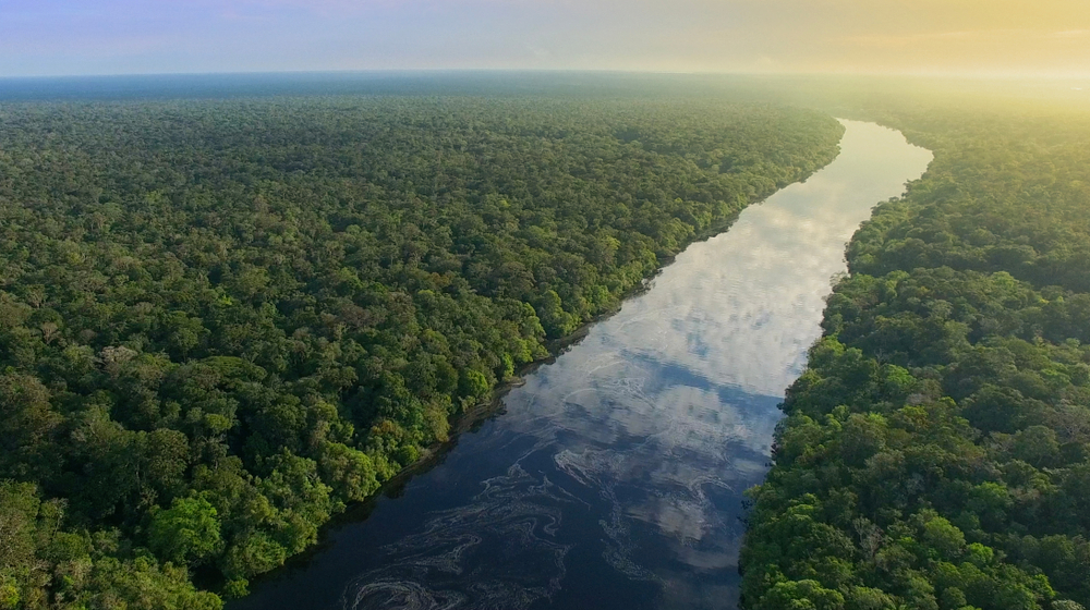 Aerial,View,Of,Amazon,Rainforest,In,Brazil