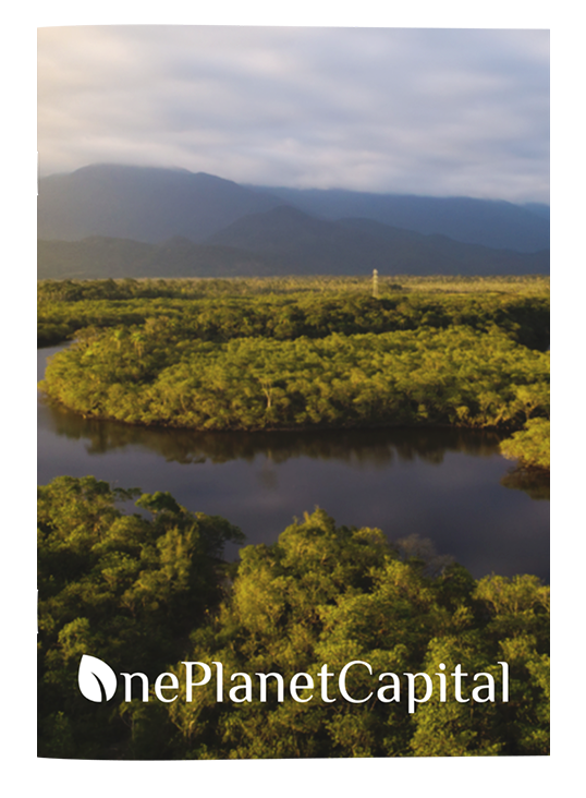 One Planet Capital book