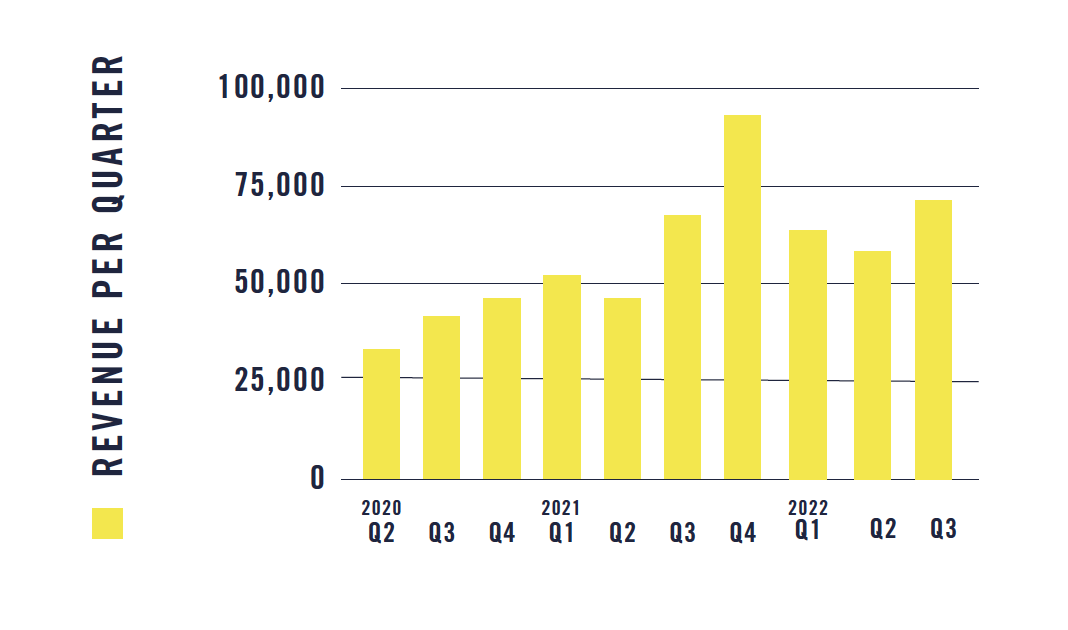 Nirvana Brewery revenue